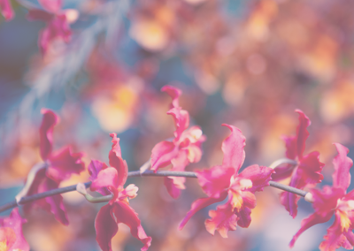 找个批发价的DDOS在线压力测试